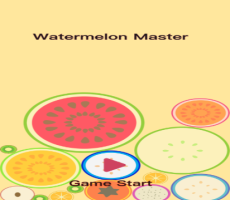 Watermelon Master:New Fruit Ac